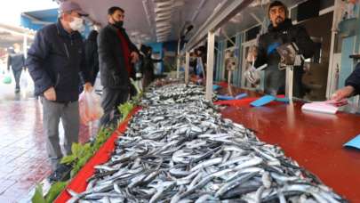 Şiddetli fırtına hamsi fiyatlarına yansıdı