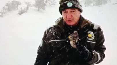 Osmaniye'de bitkin bulunan kızıl şahin, tedavisi sonrası doğaya salındı