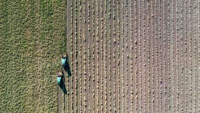 Tarımsal destekleme ödemeleri başlıyor