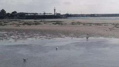 Silivri'de korkutan görüntü!