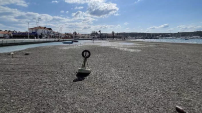 İzmir Seferihisar'da tedirgin eden görüntü