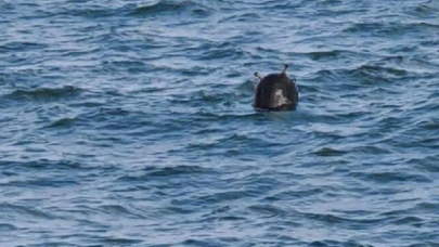 İstanbul Boğazı'nda 2. mayın alarmı