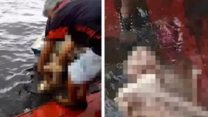 Saatler sonra sadece kemikleri çıkarılabildi!