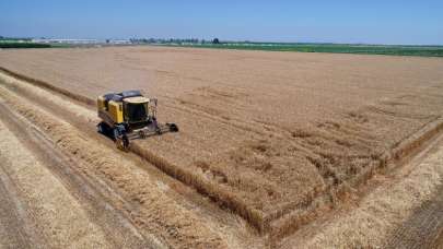 Tarımsal destekleme ödemeleri bugün başlıyor