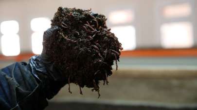 Sivas'ta kuruldu! Komşu apar topar Türkiye'nin kapısını çaldı