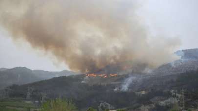 Hatay'da gece çıkan orman yangını kontrol altında
