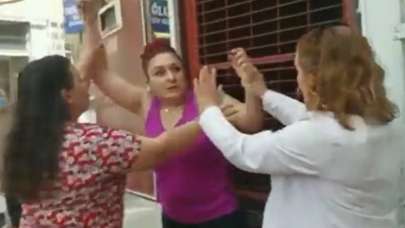 Saldırgan köpekleri topluyorlardı! Kadın, belediye çalışanlarını dövdü