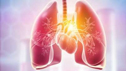 Vücuttaki nikotini dışarı atıp ciğerleri bir haftada tertemiz yapıyor! Her gün en az bir tane…