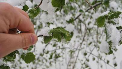 Ankara'ya kar ve zirai don uyarısı