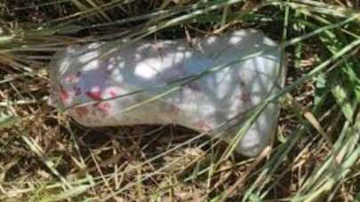 Şanlıurfa'da bulundu! Rus yapımı olduğu tespit edildi