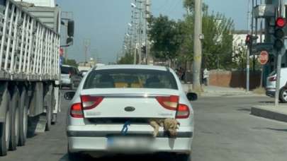 Tepki çeken görüntü! 40 derecede köpeği bagajda taşıdı