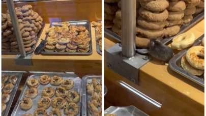 Ünlü zincir markette farenin kurabiye keyfi kamerada