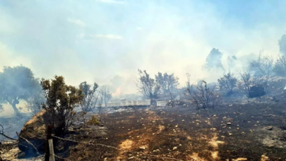 Bodrum'da korkutan orman yangını: Müdahale ediliyor