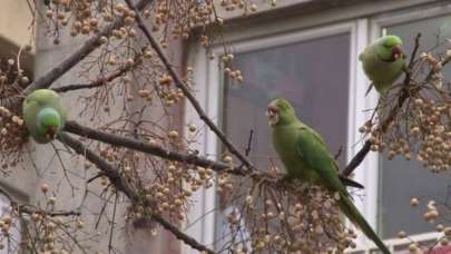 Türkiye için 'Endişeliyiz' sözleri: Tüm şehirlere dağılabilir