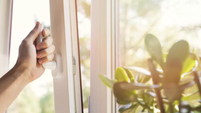 Sinekleri uzaklaştırmak için mükemmel çözüm