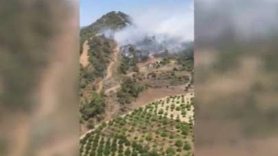 Muğla'da orman yangını çıktı