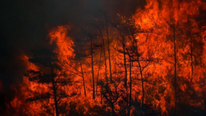 Marmaris'te orman yangını: Rüzgarın etkisiyle yeniden şiddetlendi