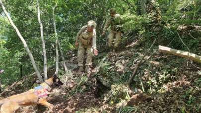 Amanos'larda terör operasyonu