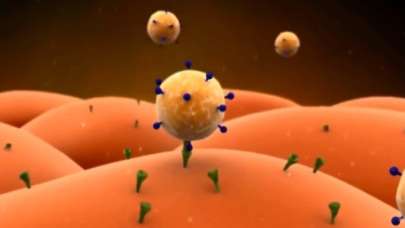 Bilim insanlarından yeni virüs uyarısı: İnsanlar arasında yayılabilir