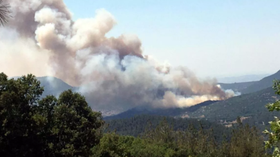 Balıkesir'de orman yangını: Havadan ve karadan müdahale ediliyor