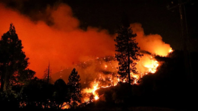 Kaliforniya’da orman yangını: Acil durum ilan edildi