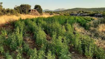 Diyarbakır'da Eren Abluka-28 Operasyonuyla terörün finans kaynağına darbe vuruldu