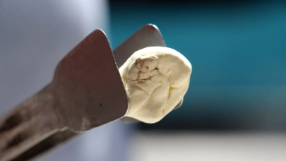 Kilogramı bin lira! Yoğun talep görüyor