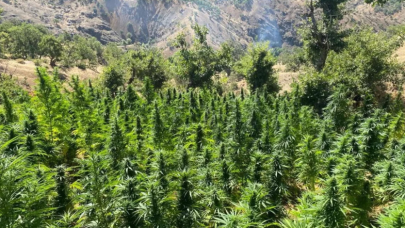 Bakan Soylu bu sözlerle duyurdu: Narkoteröre bir darbe daha