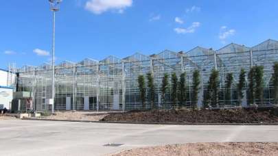 Dünya gıda krizi ile boğuşurken Almanya, İspanya ve Hollanda Türkiye'den almak için harekete geçti