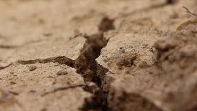 Avrupa'da kuraklık alarmı verildi