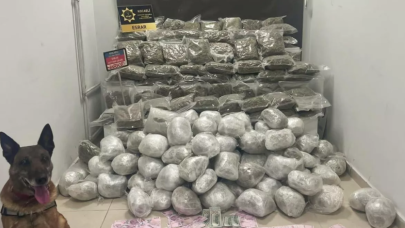 Bakan Soylu: İstanbul'a yük taşıyan araçta 107 kilo skunk ele geçirildi