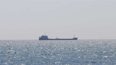 Tahıl yüklü bir gemi daha Ukrayna'dan hareket etti