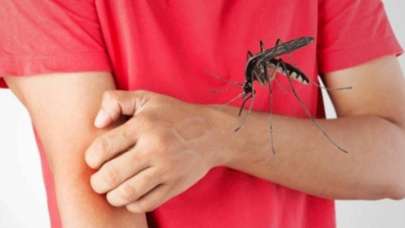 Nedenini duyunca çok şaşıracaksınız! Sivrisinekler ısırmak için kimleri seçiyor?