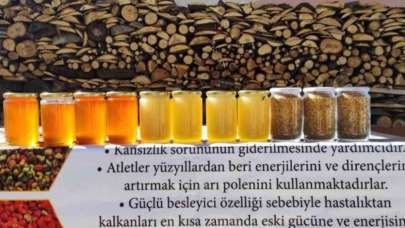 Bu bal arıcıları şaşkına çevirdi! İlk kez oluyor