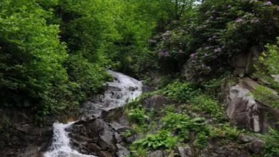 En fazla yağış alan ilimizde halkı tasarrufa çağırdılar