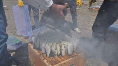 26 yıldır bu mesleği yapıyor! Paraya para demiyor, kilosu 500 TL…