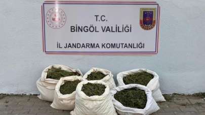 Terörün finans kaynaklarına darbe: 3 milyon kök kenevir ele geçirildi