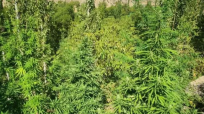 Eren Abluka-9 operasyonu ile teröristlerin finans kaynağına darbe indirildi