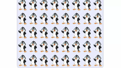 Farklı pengueni bulmak için sadece 7 saniyeniz var! Bakın kimler hemen buluyormuş