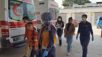 Öğrenciler kovana vurdu ve sonra...