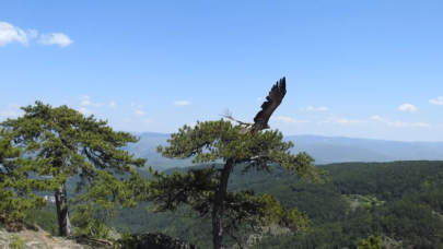 ''Kaşif Şahgaga'' 5 ay sonra Türkiye'ye döndü