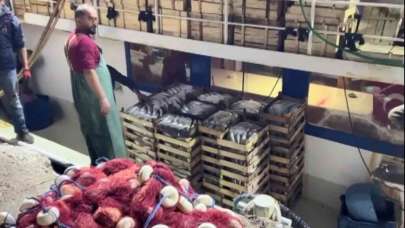 Çanakkale'den fışkırdı! Kimse bu kadarını beklemiyordu