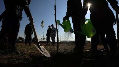 Fidanlar toprakla buluşturuldu