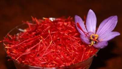 Kilosu 100 bin lira! Kapış kapış gidiyor