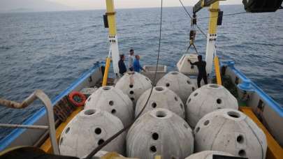 İskenderun Körfezi'ne bırakılan yapay resiflerle canlı çeşitliliği artacak