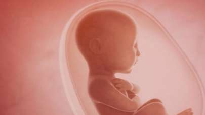 Midesinden kardeşi çıktı!