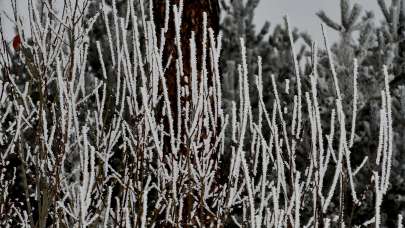 Kars'ta kar, Erzurum ve Ardahan'da soğuk hava etkili oluyor