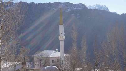 O ilde tavşanlar köylülerin korkulu rüyası oldu!