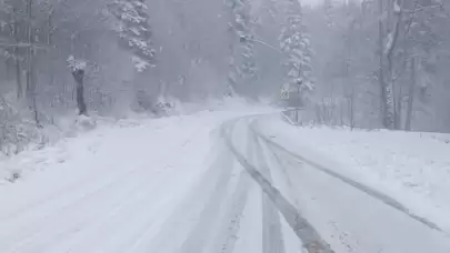 İstanbul'a 1,5 saatlik mesafede lapa lapa kar yağıyor!