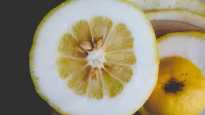 Ağaçta bunu yetiştirdi! Görenlerin ağzı açık kaldı